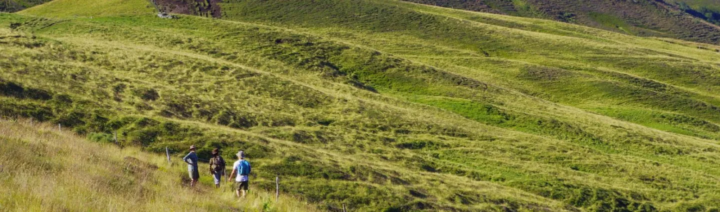 puy-griou-psaintjean