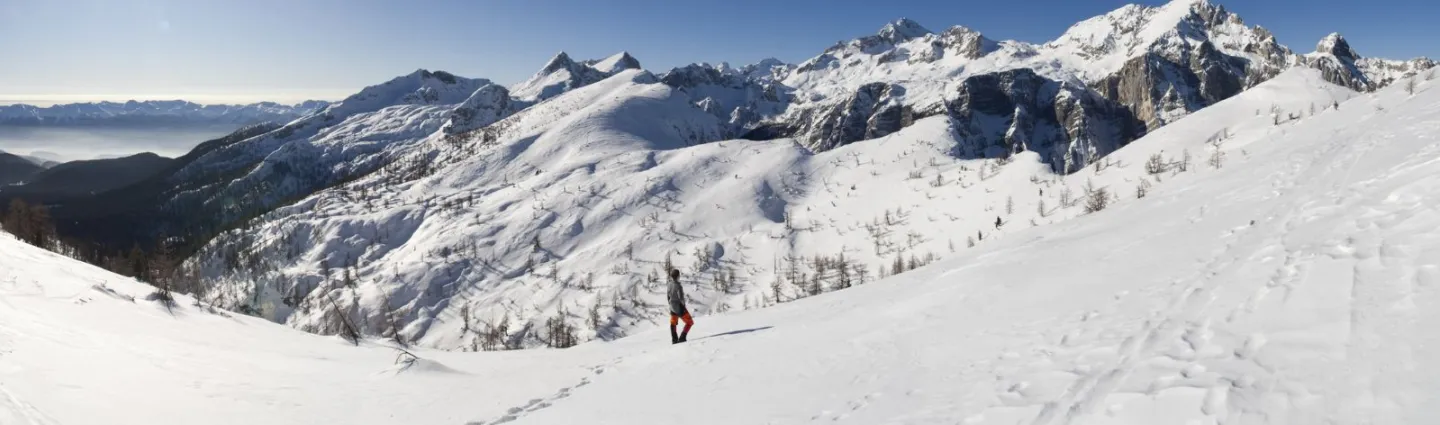 istock-alpes-bostjanT