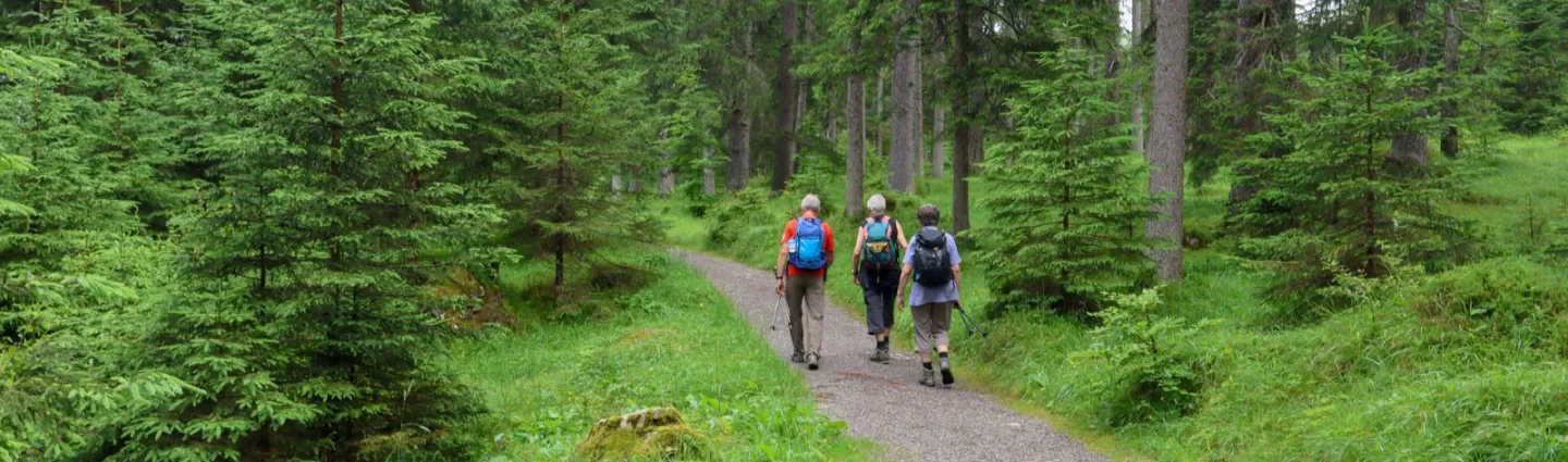 allemagne-foret-noire