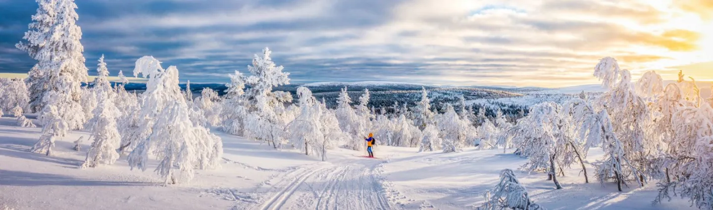 finlande-cross-country-adobestock