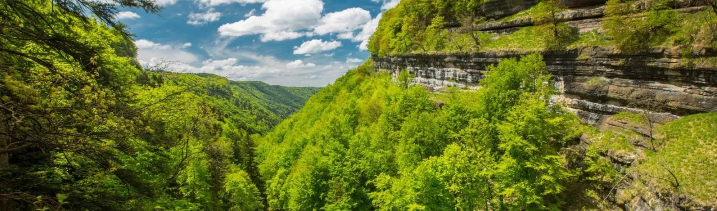 © fotolia vallee-jurassienne-rochagneux-fotolia