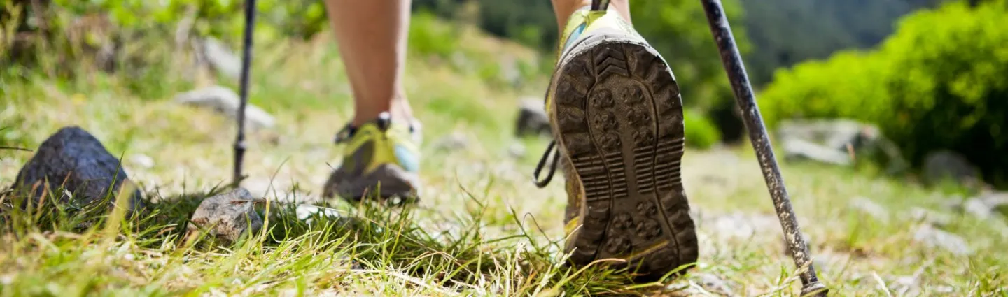 nordic-walking-adobestock