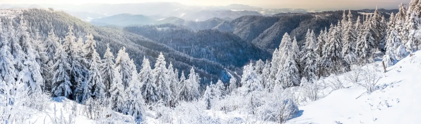 sshwarzwald-foret-noire-allemagne