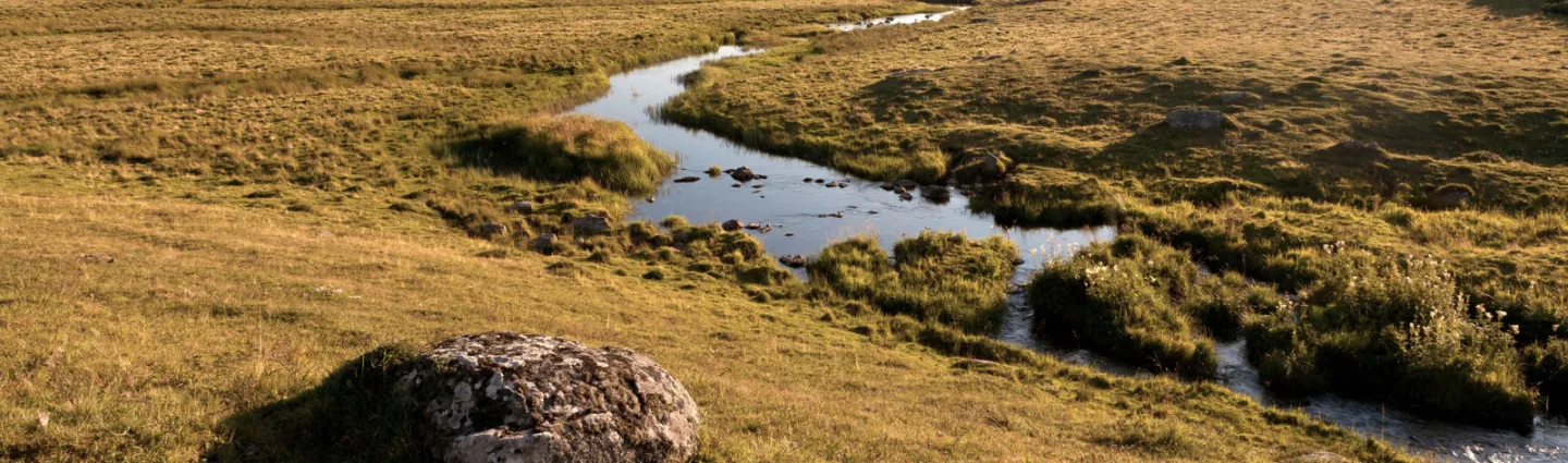 auvergne-massif-central-pleine-lozere