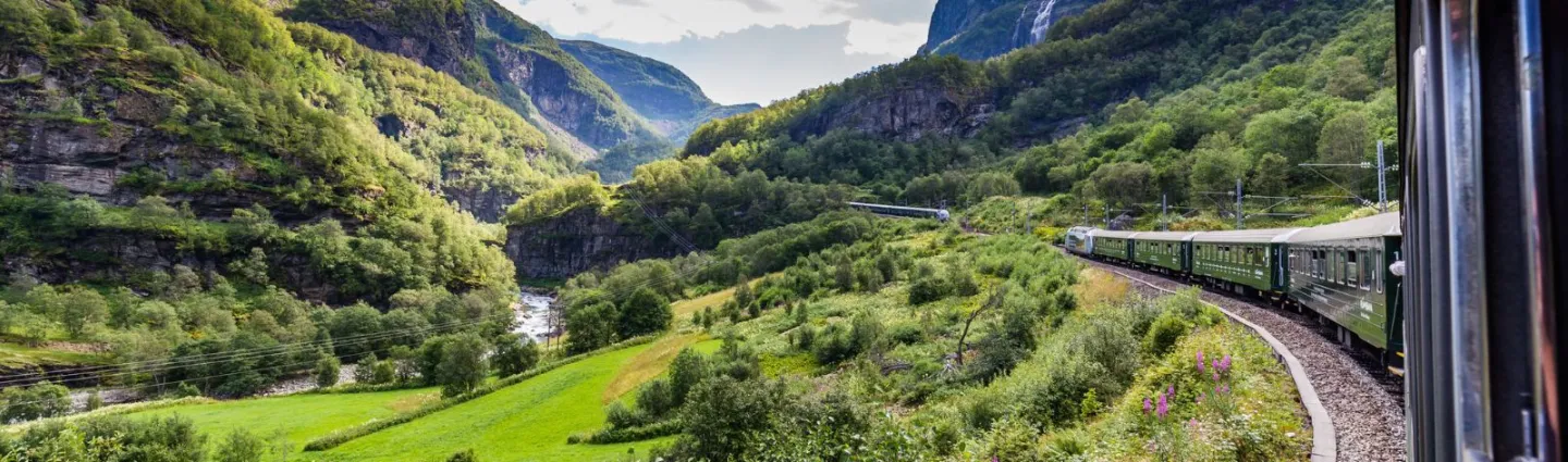 train-du-flam-sognefjord