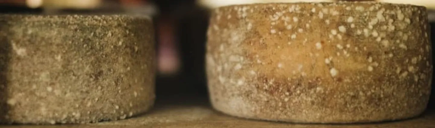 fromage-brebis-ossau-iraty