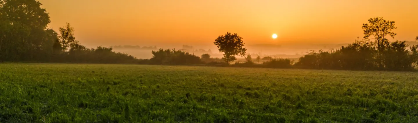 paysages-bocage-normand