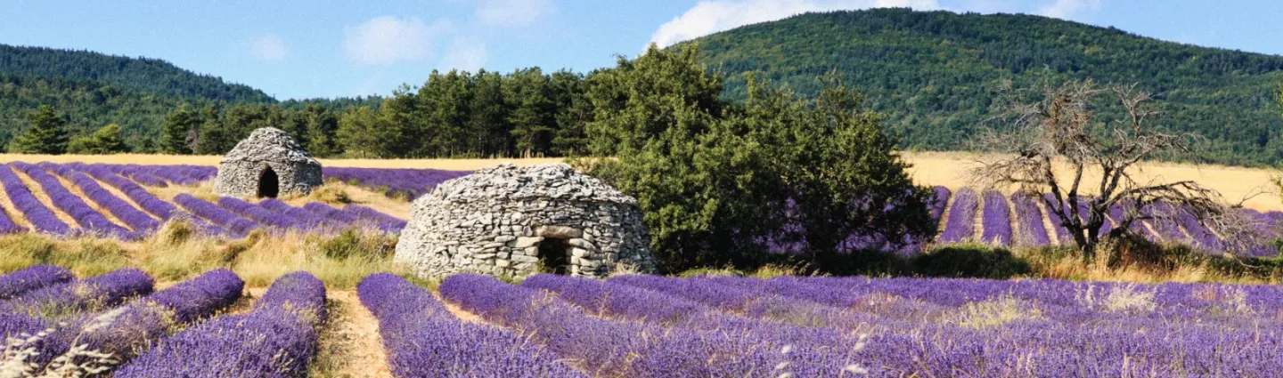 borie-provence-luberon
