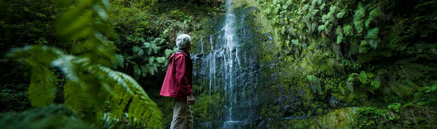 hikerwise-unsplash madere-cascade