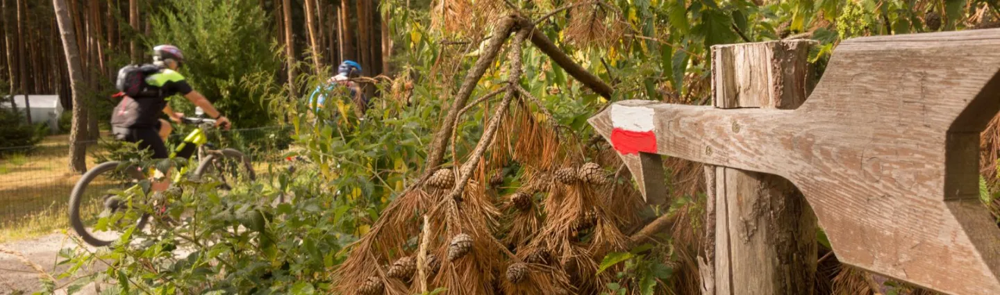 balisage-voie-du-puy-velo