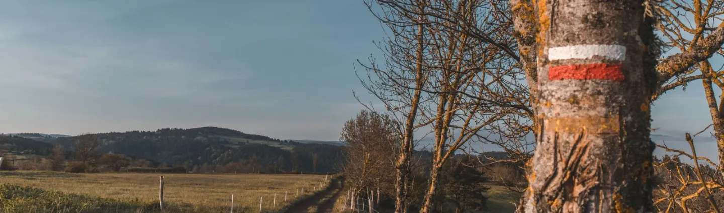 ©pvillemejane stevenson-chemin