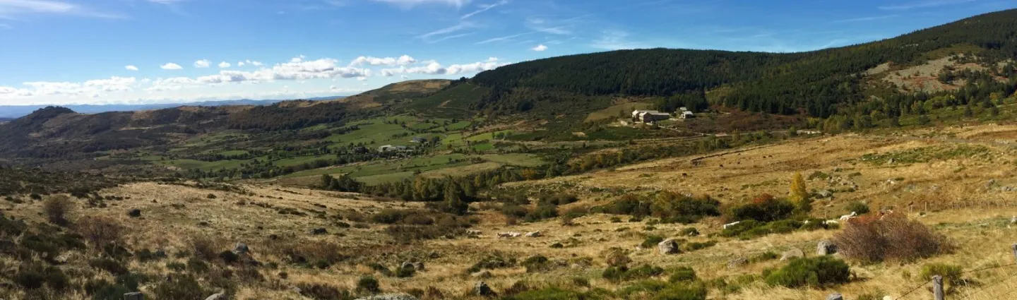 lriou stevenson-chemin