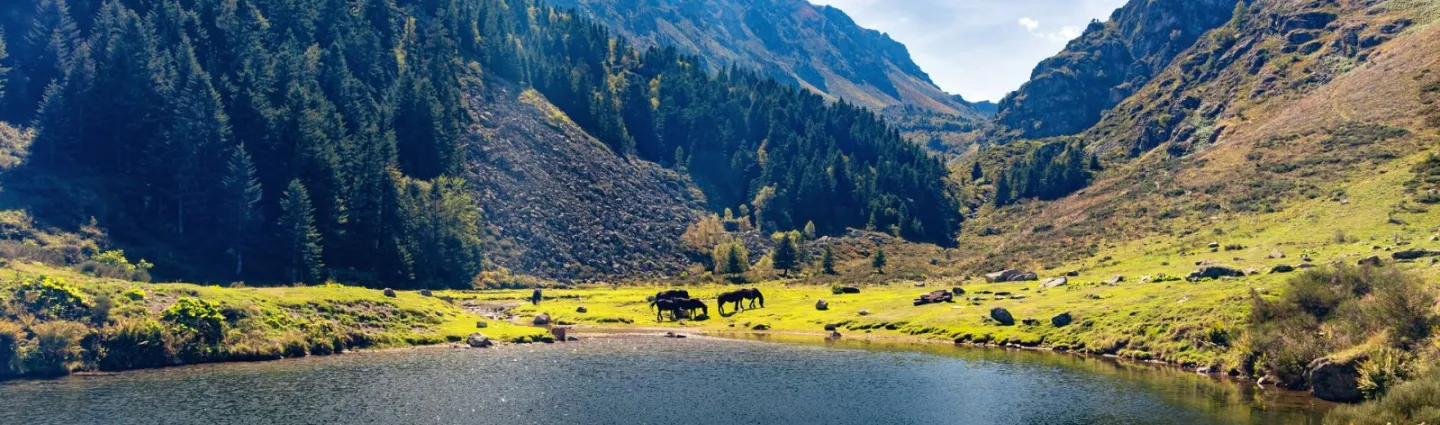 grande-itinerance-gr10-pyrenees