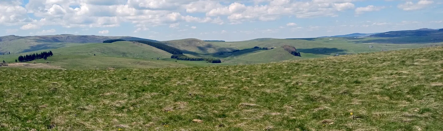 Plateau du Cézallier