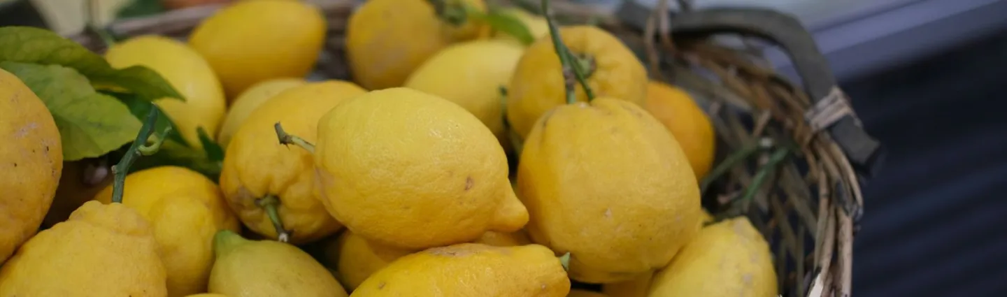 saveurs italie citrons