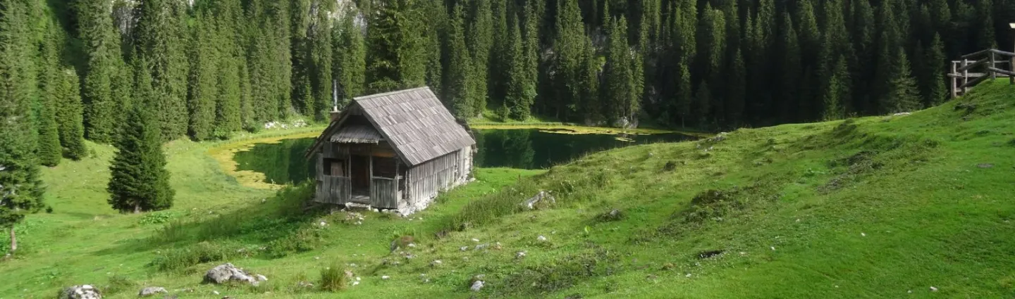 slovenie mont prsivec a bohinj