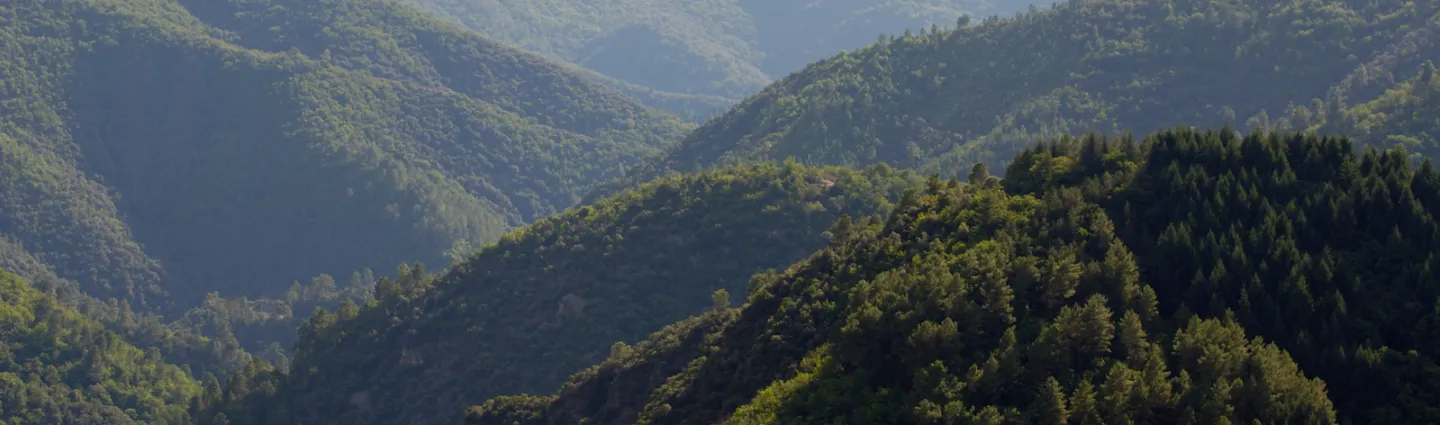 montagnes cévenoles 