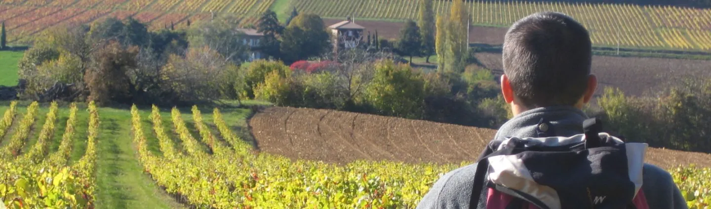 randonneur beaujolais L.riou