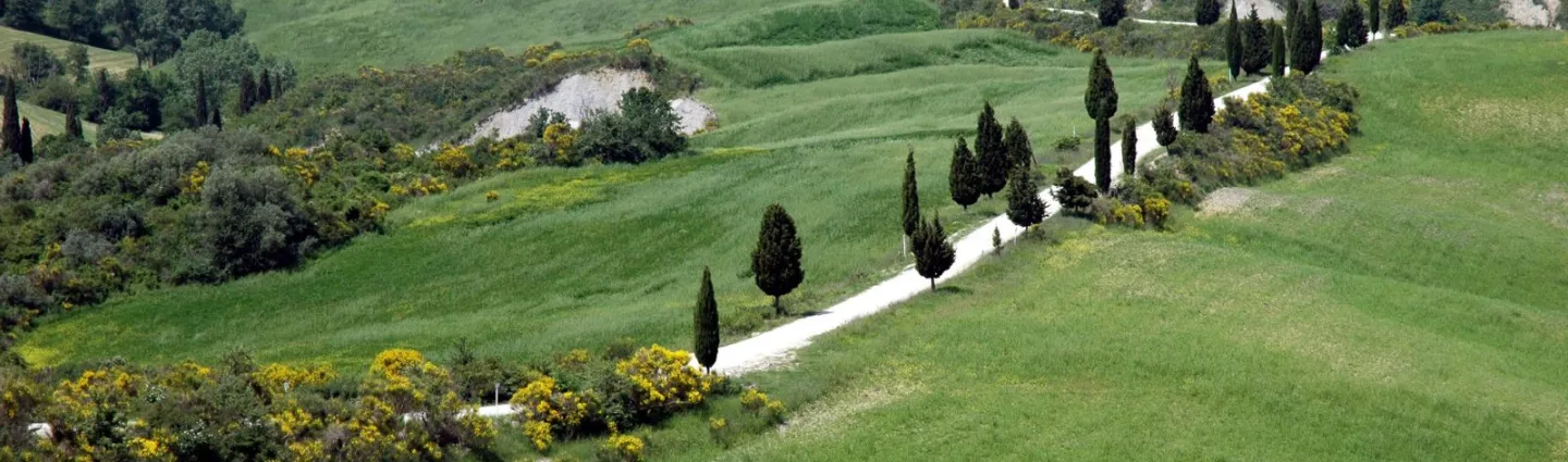 chemins de randonnée et cypres en toscane, italie