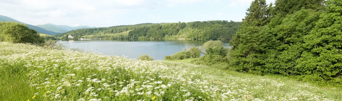 lac guery, gtmc, massif central