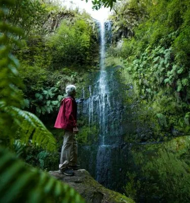 madere-lib-hikerwise-unsplash