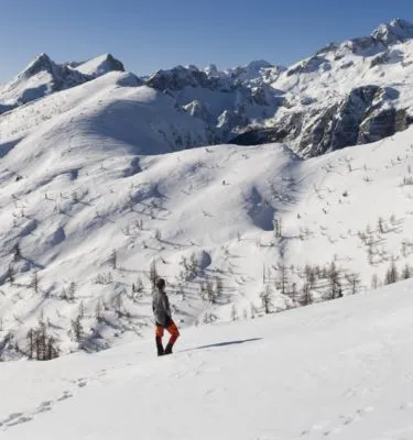 istock-alpes-bostjanT