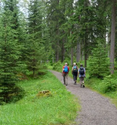 allemagne-foret-noire