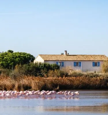 etangs-reserve-naturelle-camargue