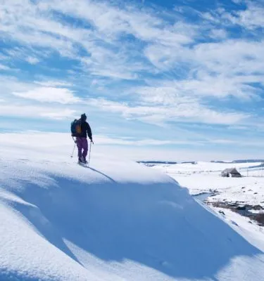 aubrac-plaine-plateau