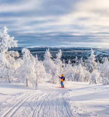 finlande-cross-country-adobestock