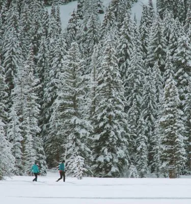 hiver-randonneur-greg-rakozy
