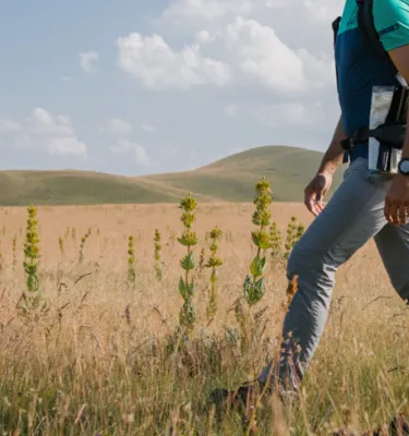 Marcheur la chaine des puys