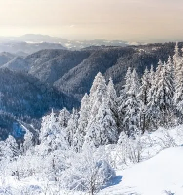 sshwarzwald-foret-noire-allemagne