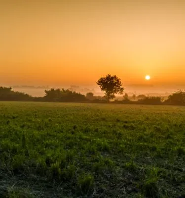 paysages-bocage-normand
