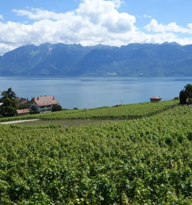 lac-leman-suisse
