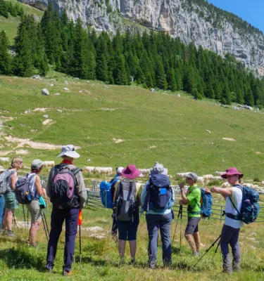 © randhorizons alpes-chartreuse-acc