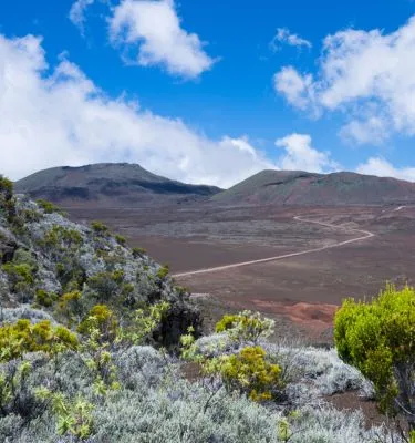 route-volcan-ile-de-la-reunion