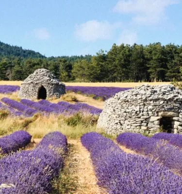 borie-provence-luberon