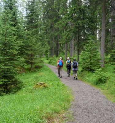 allemagne-foret-noire