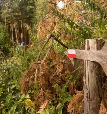 balisage-voie-du-puy-velo