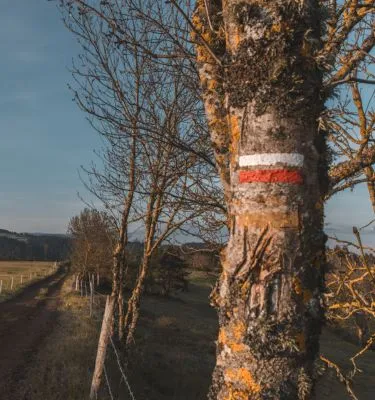 ©pvillemejane stevenson-chemin