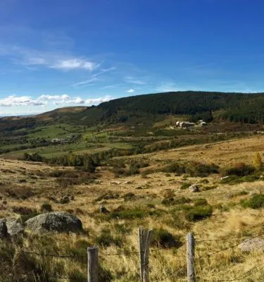 lriou stevenson-chemin