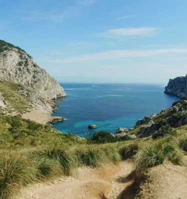 majorque-figuera-cala