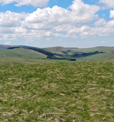 Plateau du Cézallier