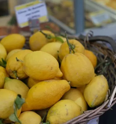 saveurs italie citrons