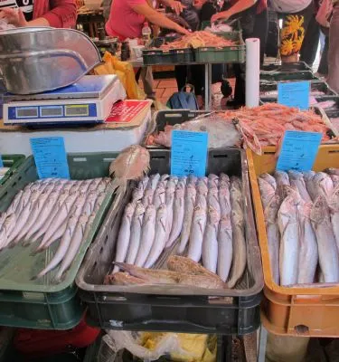 etale_poisson_croatie_iles_dalmates