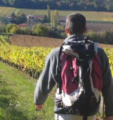 randonneur beaujolais L.riou