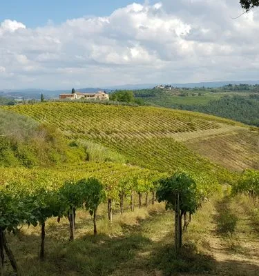 Campagne autour de San Gimignano, Toscane, Italie