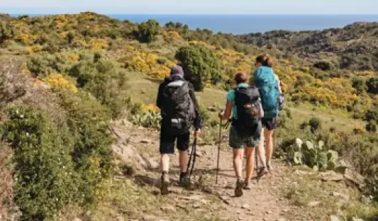 Voyages accompagnés