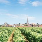 Bourgogne et Champagne
